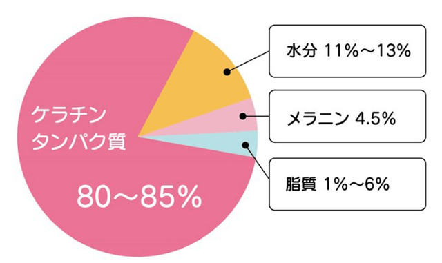 髪の毛がなみなみの原因と対策 美容師解説 Kyogoku Salon