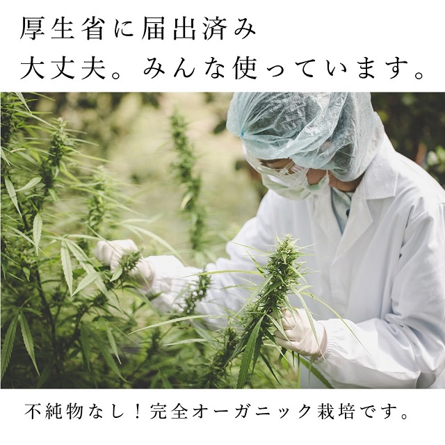 Kyogoku CBDグミ アップル&リラックスに含まれる産業用大麻は危険じゃないの？　厚生省